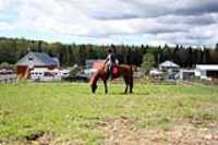 2013_05_ecurie_08