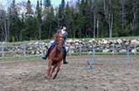 2013_05_ecurie_12