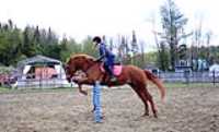 2013_05_ecurie_13