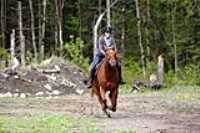 2013_05_ecurie_14