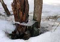 03-sentier_lineaire