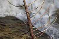 10-sentier_lineaire
