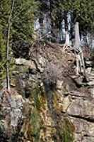 13-sentier_lineaire