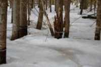19-sentier_lineaire