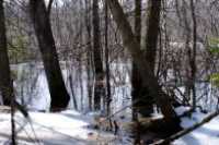 24-sentier_lineaire
