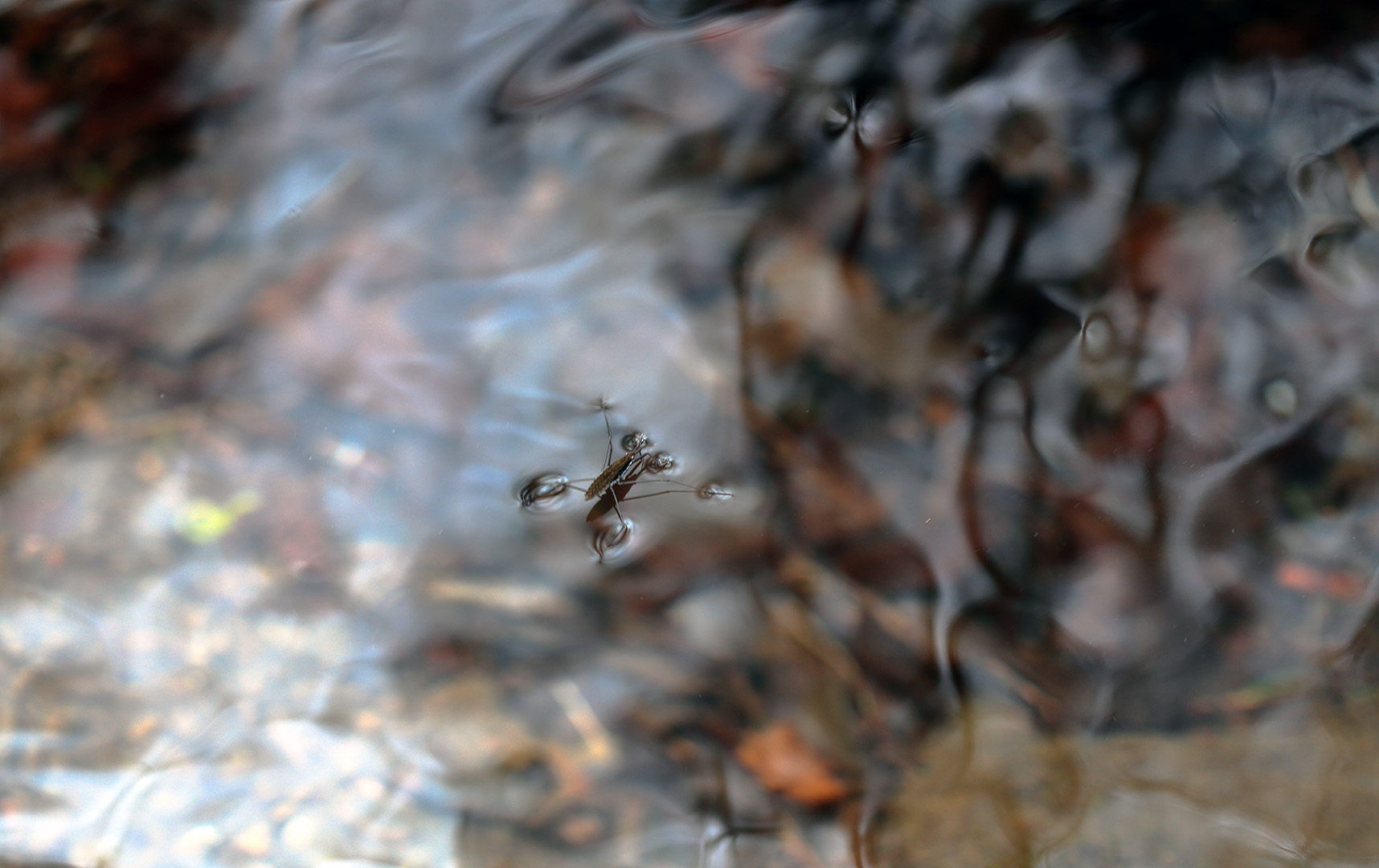 06_boucle_stoneham