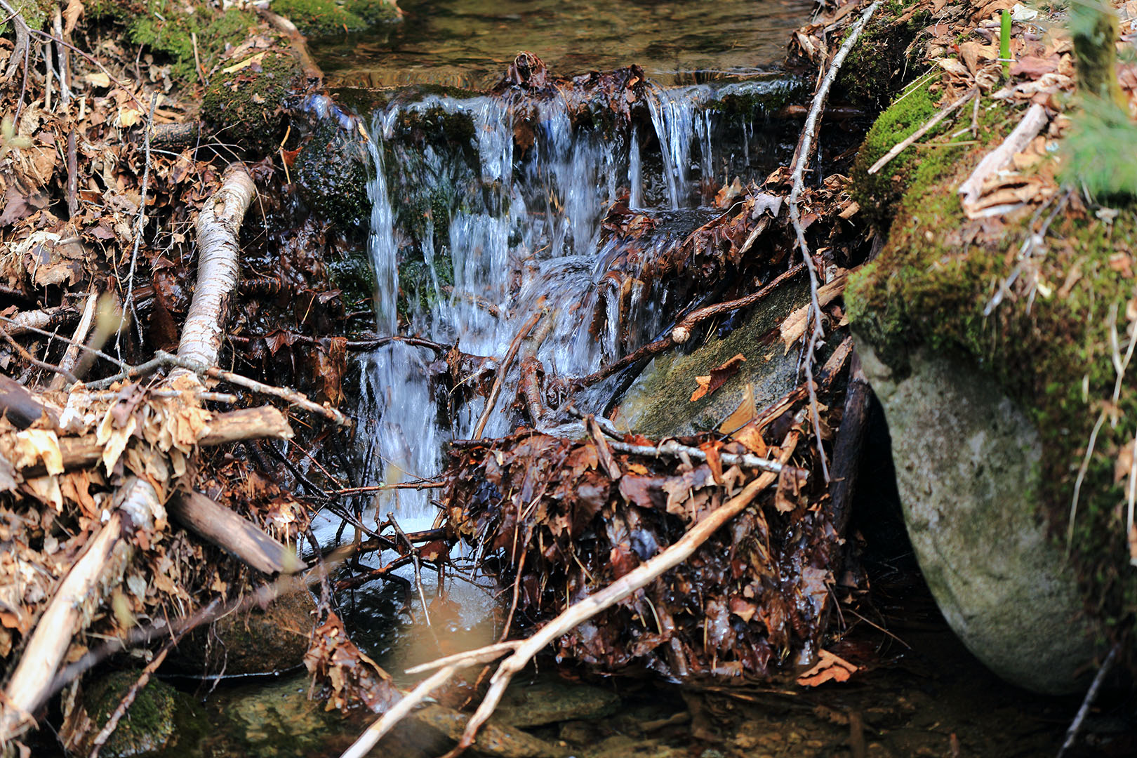 07_boucle_stoneham