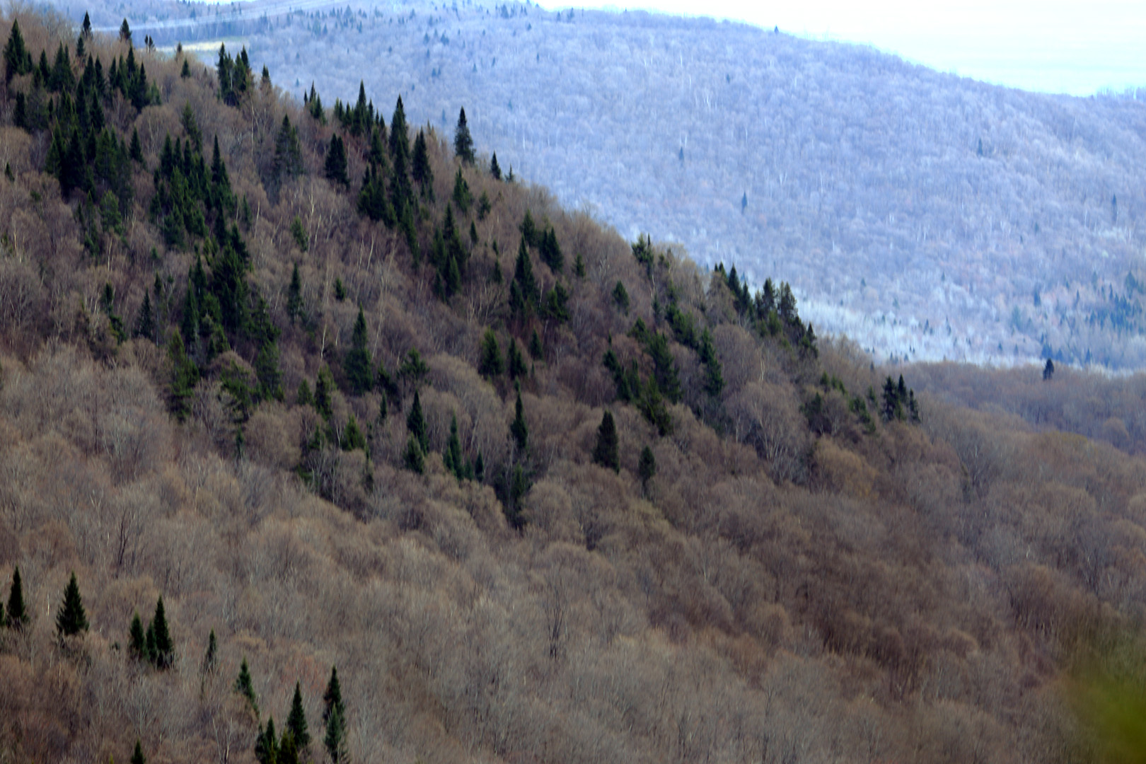 15_boucle_stoneham