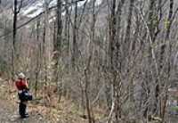 02_boucle_stoneham