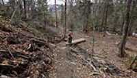 04_boucle_stoneham