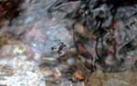 06_boucle_stoneham