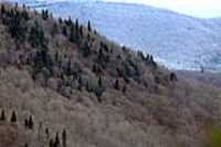 15_boucle_stoneham