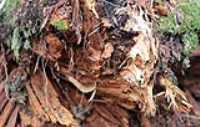 16_boucle_stoneham