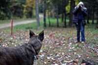 sentier_du_moulin_11
