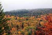 sentier_du_moulin_13