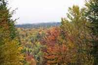 sentier_du_moulin_23