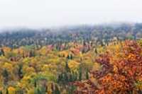 sentier_du_moulin_24