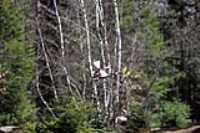 rc-helico_etang_12