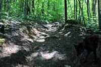lac-fripon_scouting_02