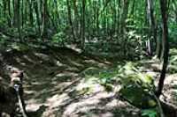 lac-fripon_scouting_03
