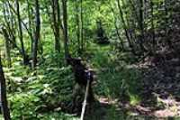 lac-fripon_scouting_05