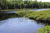 lac-fripon_scouting_06