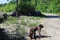 lac-fripon_scouting_07