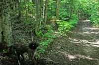 lac-fripon_scouting_10