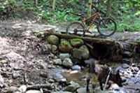 lac-fripon_scouting_11
