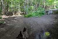 lac-fripon_scouting_17