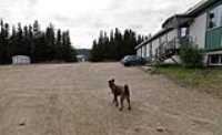 foret_montmorency_13