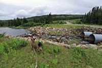 foret_montmorency_15