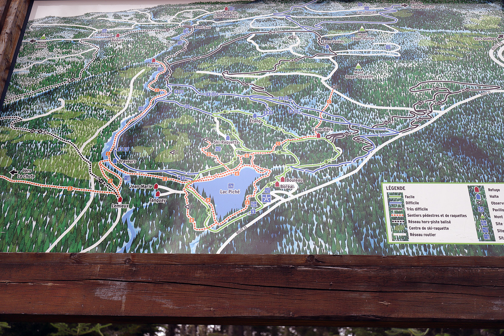 foret_montmorency_03