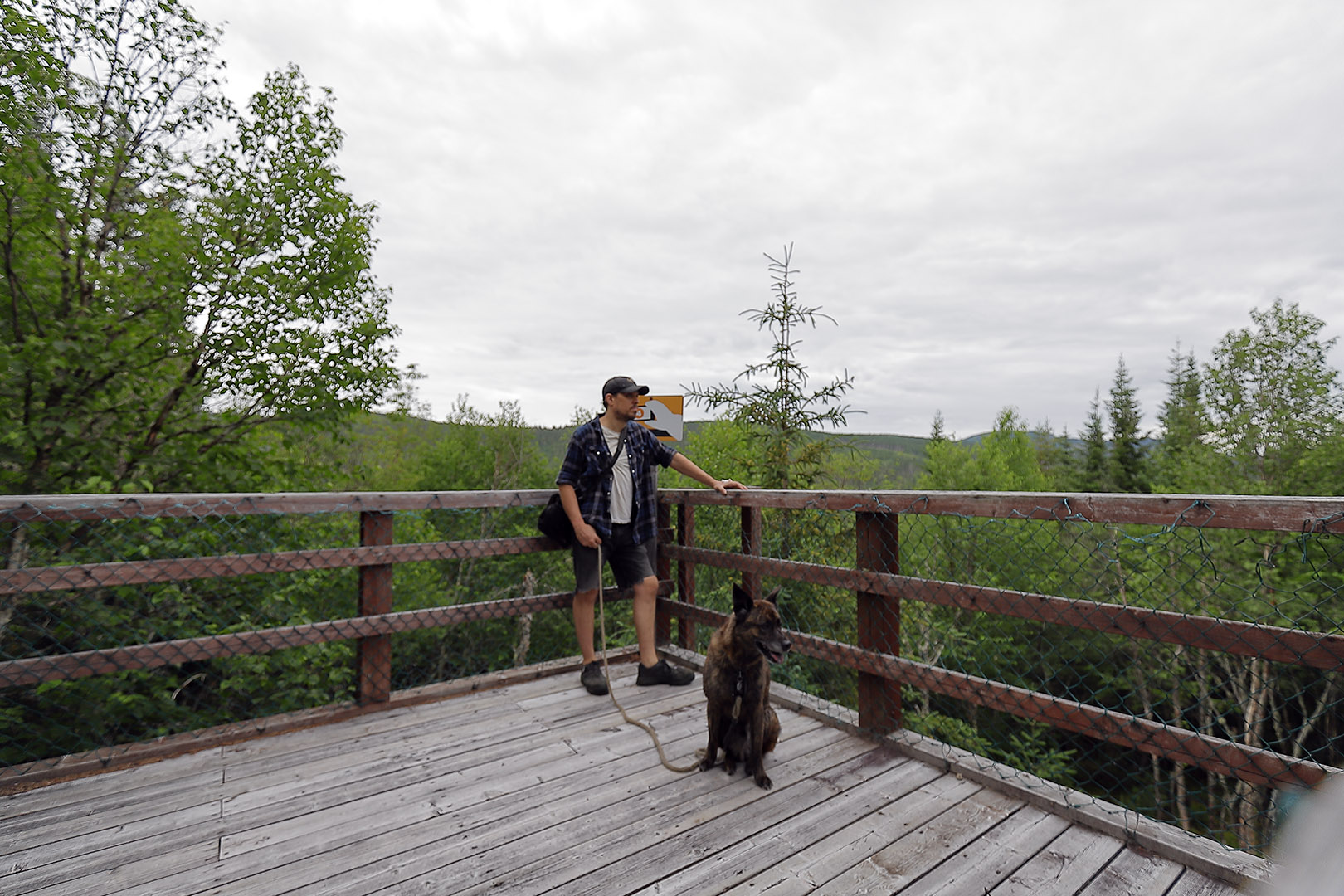 foret_montmorency_06