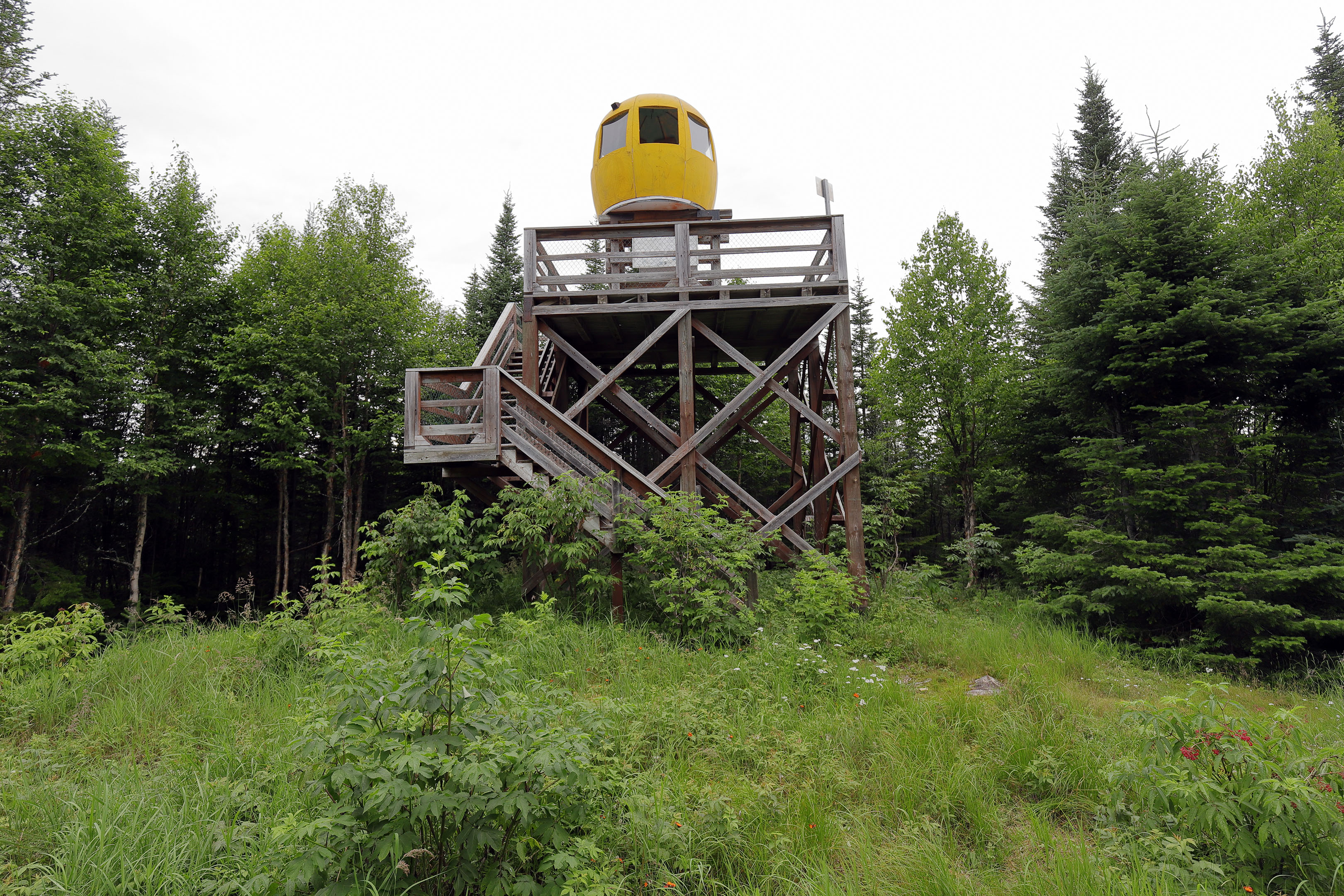 foret_montmorency_10