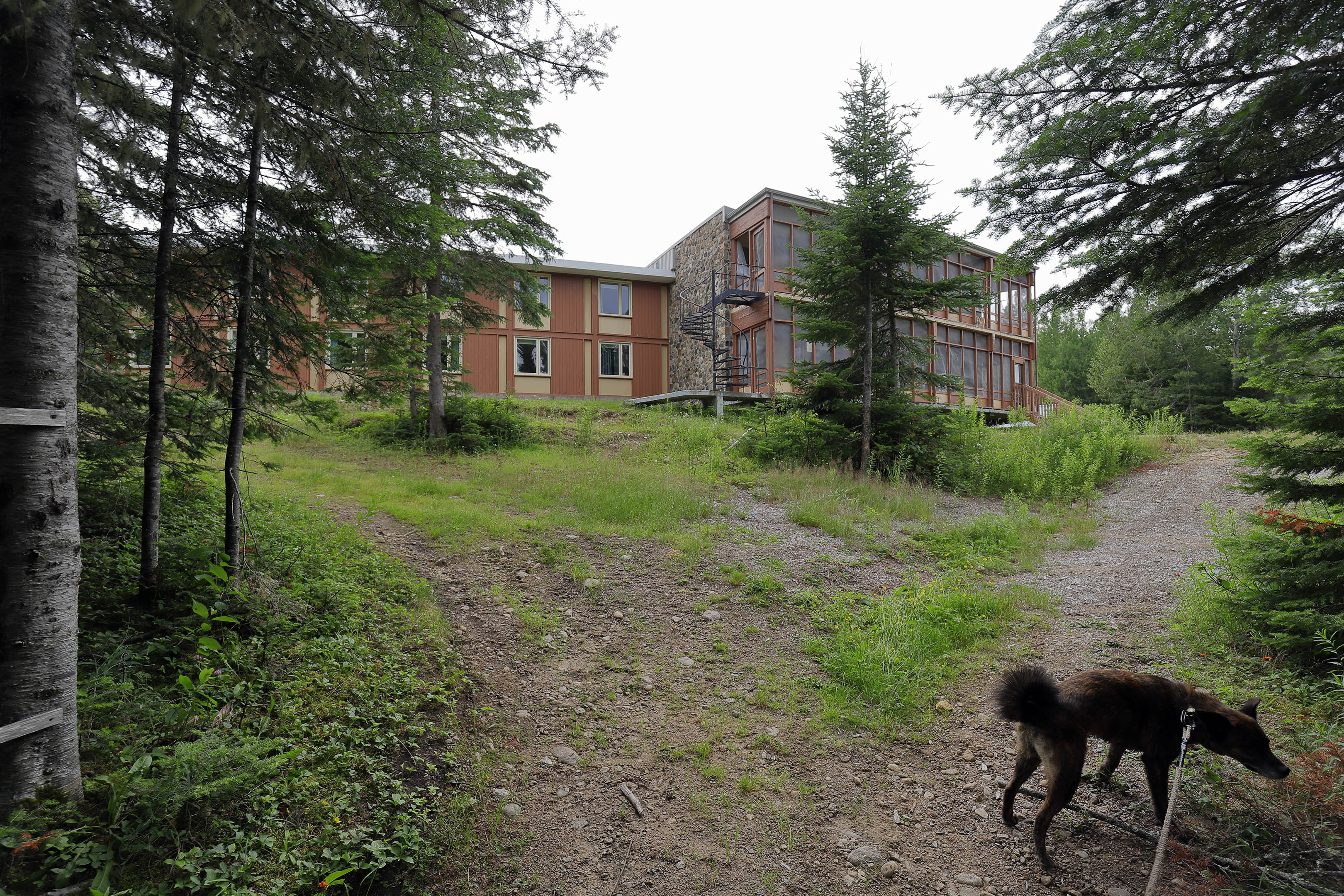 foret_montmorency_12