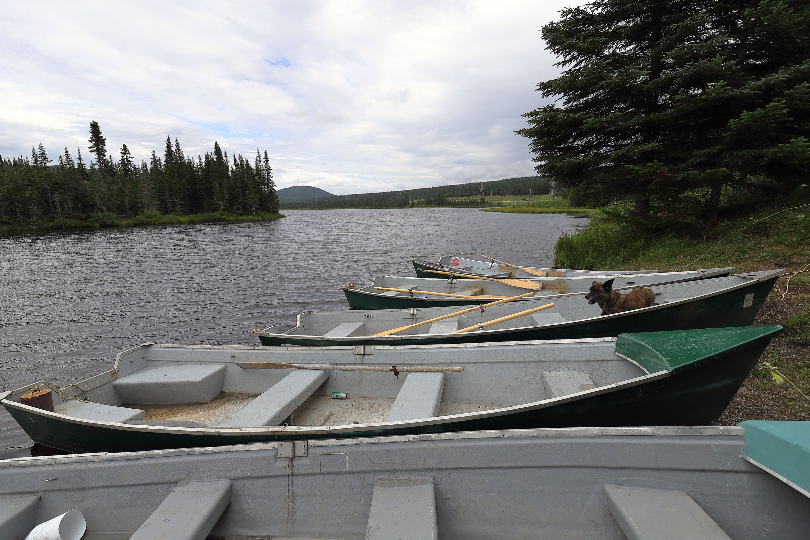 foret_montmorency_14