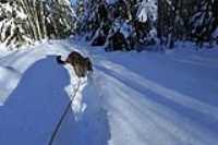 11-lac_st-charles