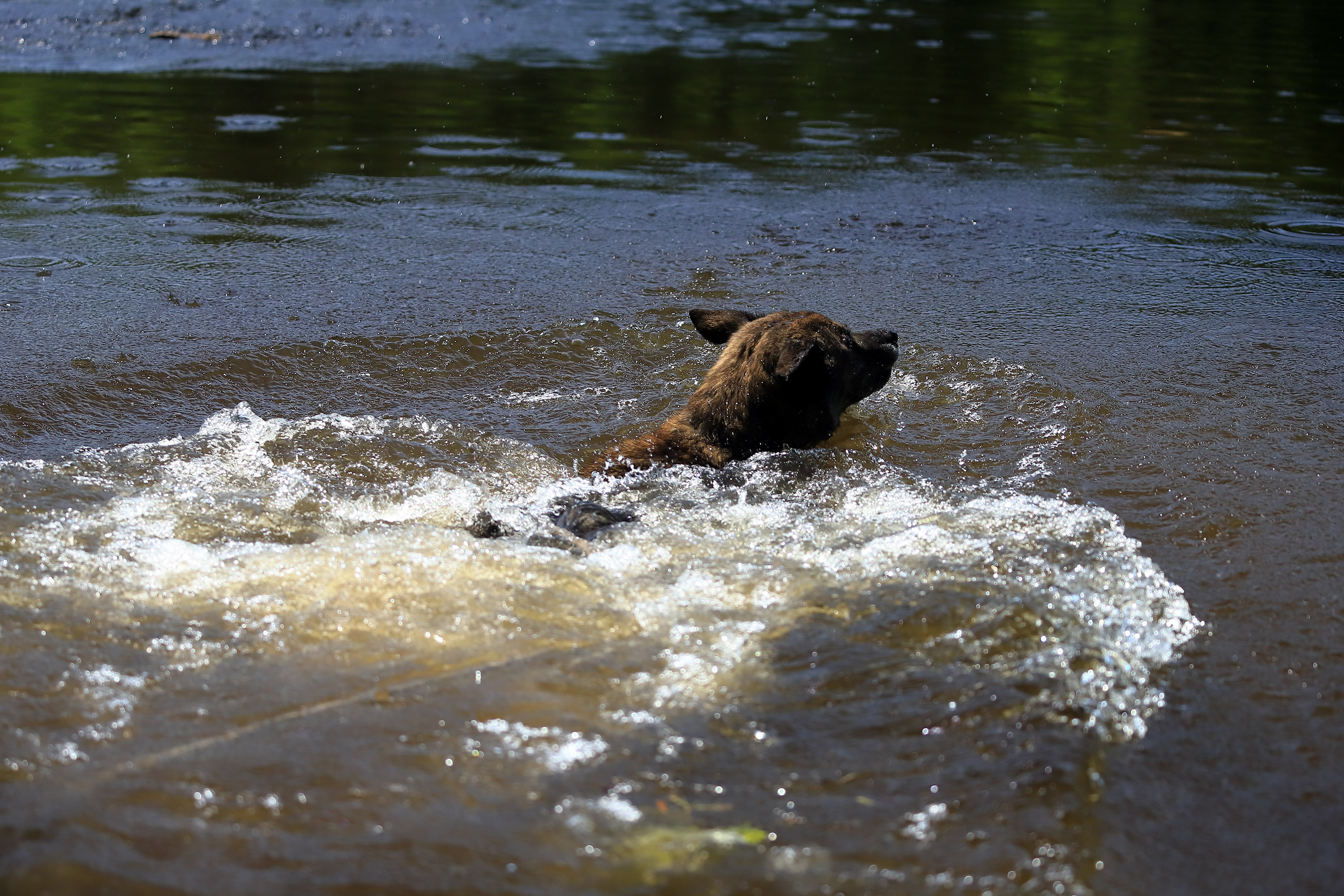 09_carriere_400mm