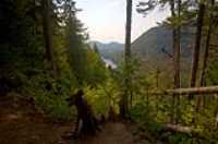 montagne_de_lepaule_05