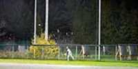softball_festival_66