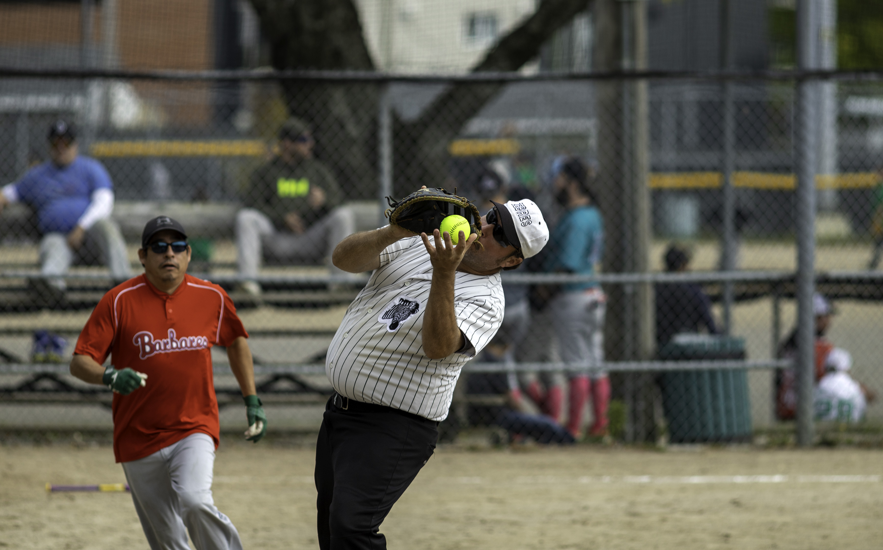 softball_festival_01
