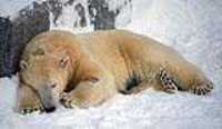 aquarium_quebec_23