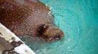 aquarium_quebec_24