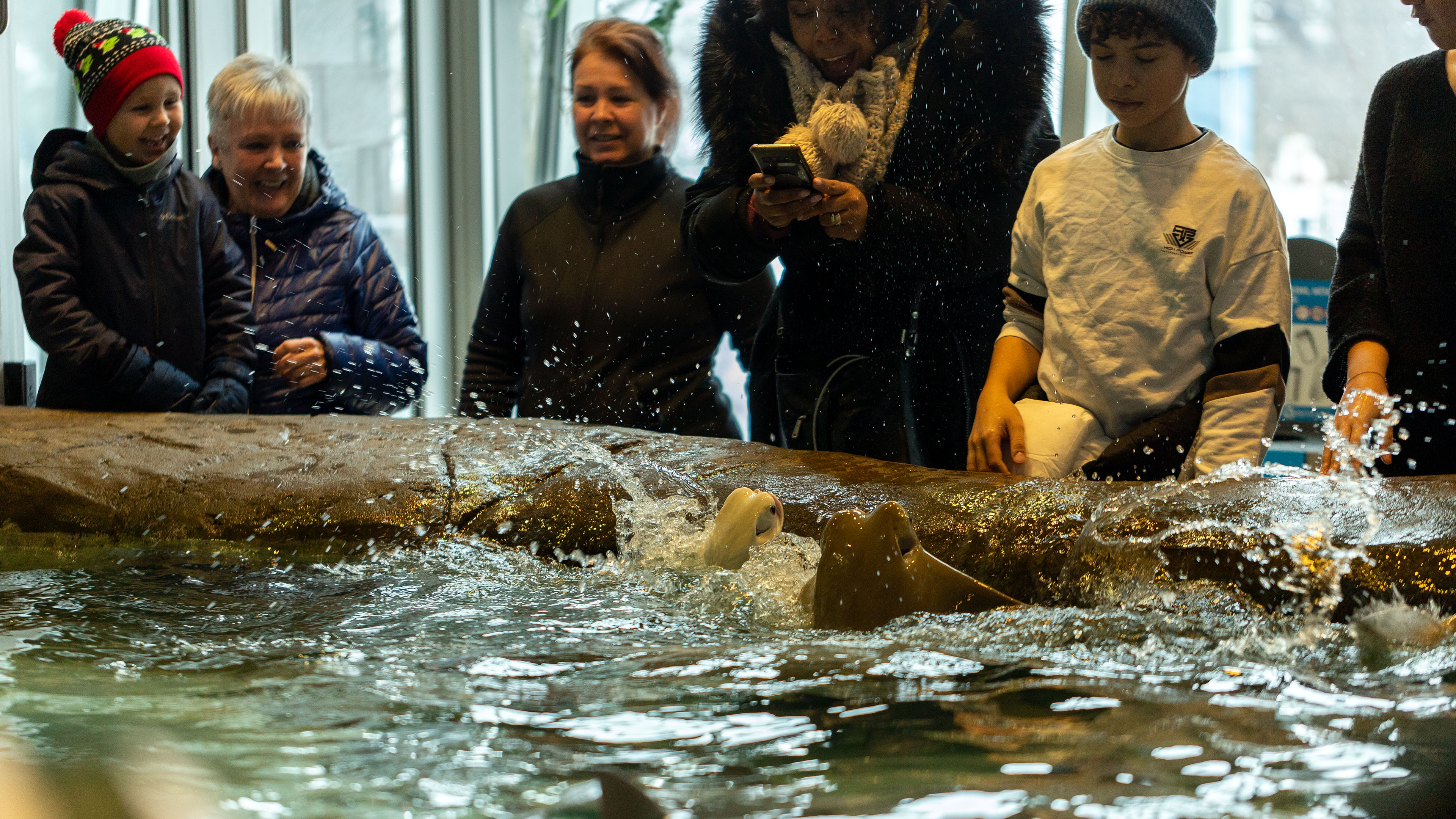 aquarium_quebec_22