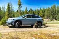 dog_car_wilderness_02