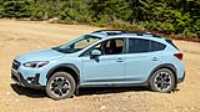 dog_car_wilderness_04