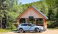 dog_car_wilderness_06