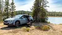 dog_car_wilderness_08