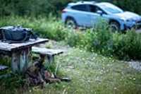 mt_apica_radar_12